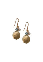 Small Sea Shell Earrings