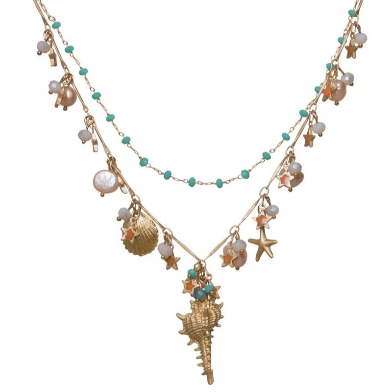 Conch and Sea Shell's